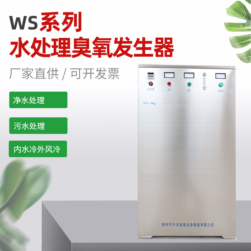 WS系列水处理臭氧发生器